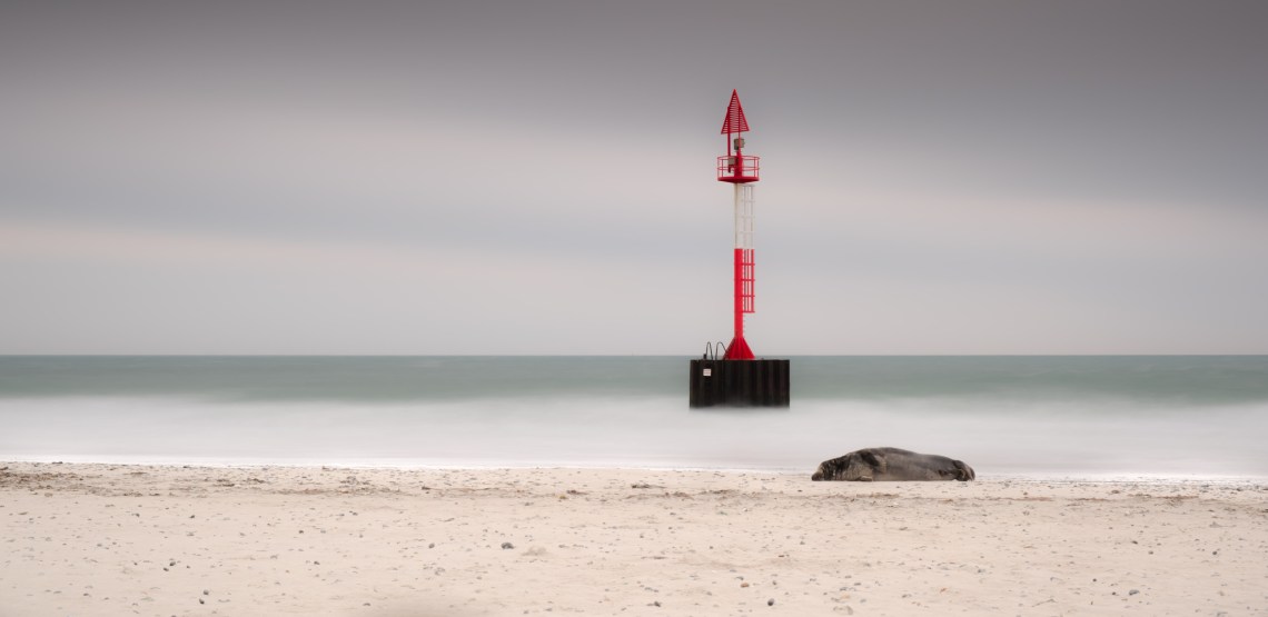 04_Signal_langzeit-2